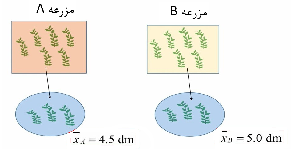 شکل 2. میانگین ارتفاع گیاه در مزرعه A و B